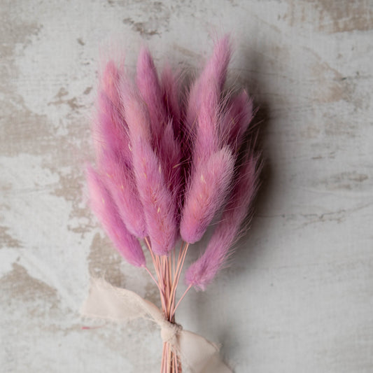 Lilac Bunny Tail | Dried Flowers | Lagurus Ovatus Bunches | 20 stems, 30 cm