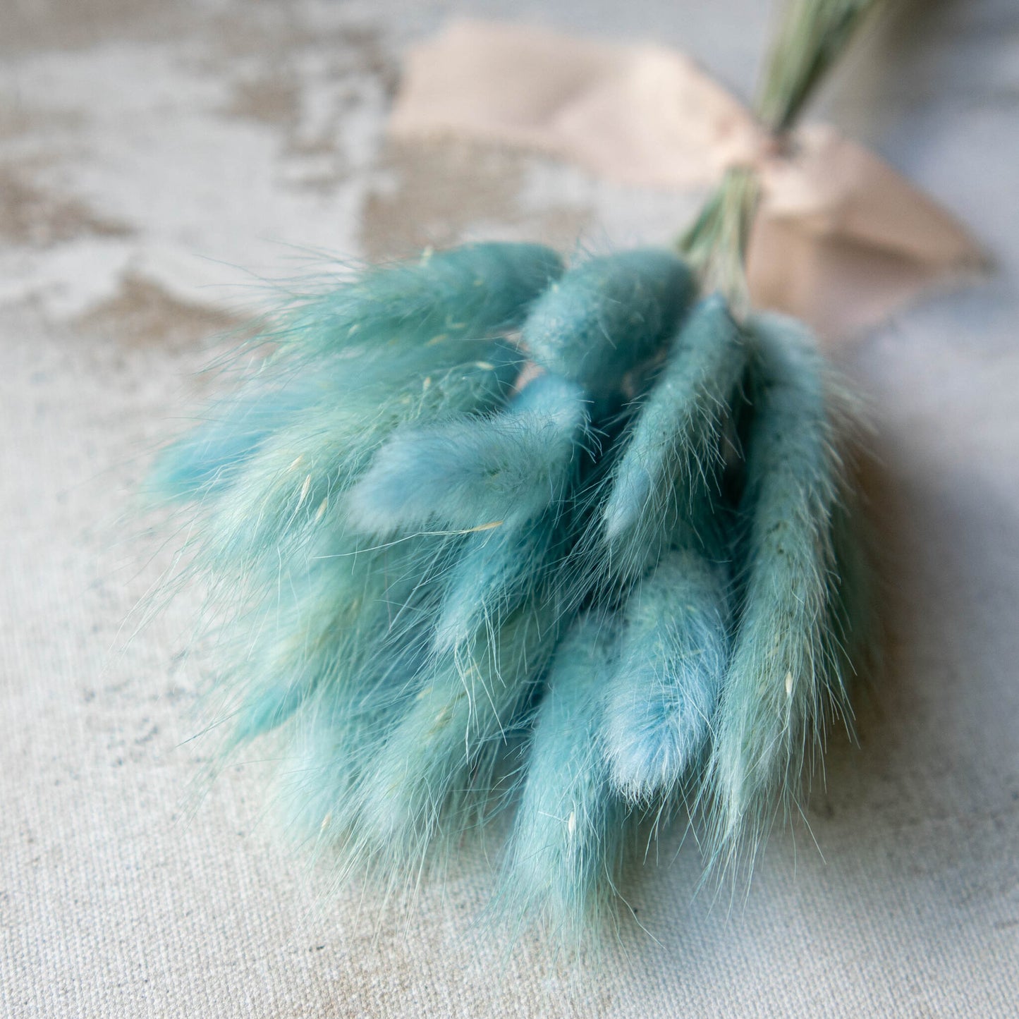 Baby Blue Bunny Tail | Dried Flowers | Lagurus Ovatus Bunches | 20 stems, 30 cm