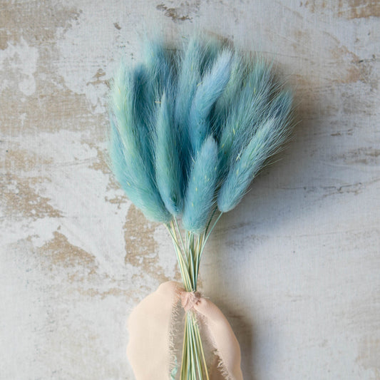 Baby Blue Bunny Tail | Dried Flowers | Lagurus Ovatus Bunches | 20 stems, 30 cm