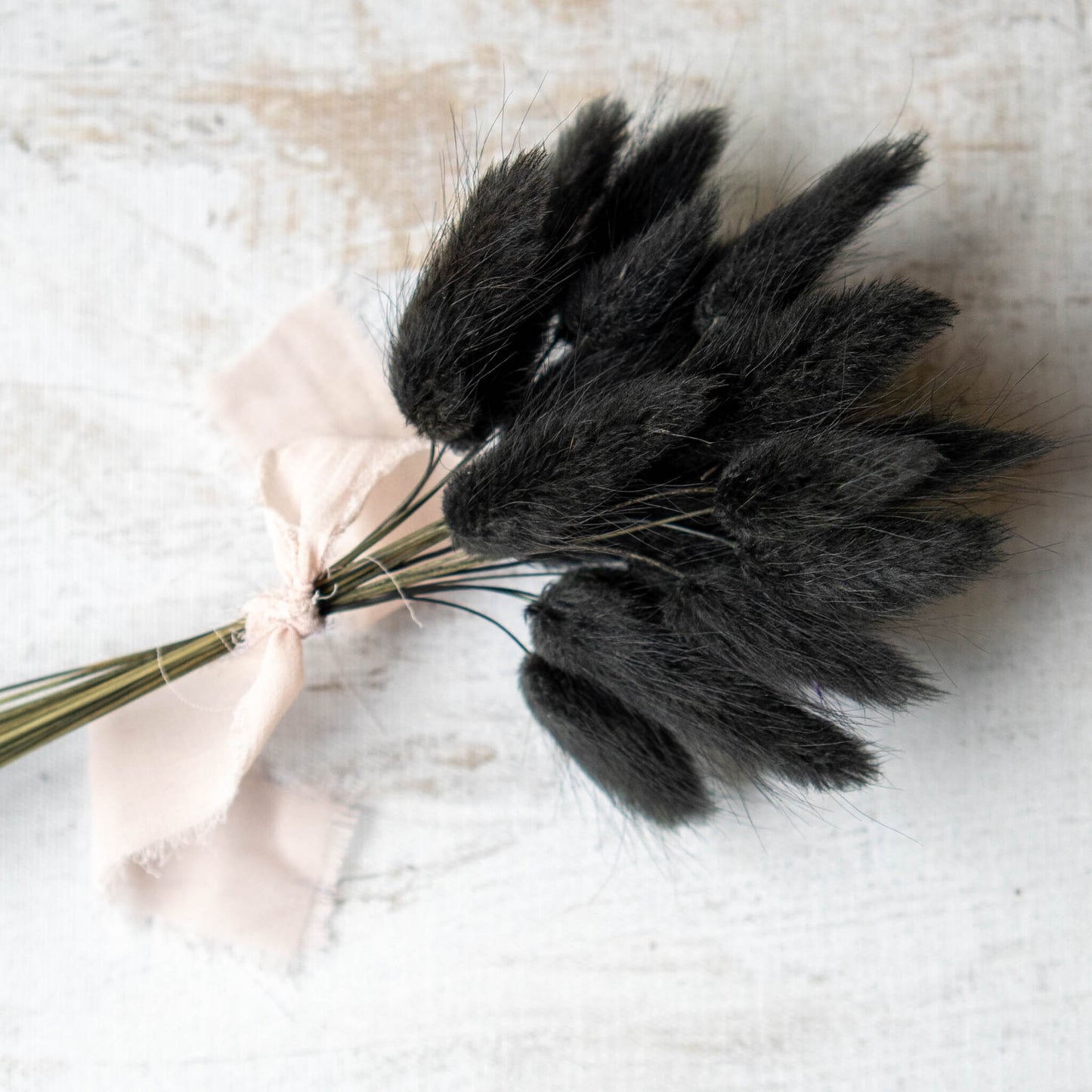 Black Bunny Tail | Dried Flowers | Lagurus Ovatus Bunches | 20 stems, 30 cm