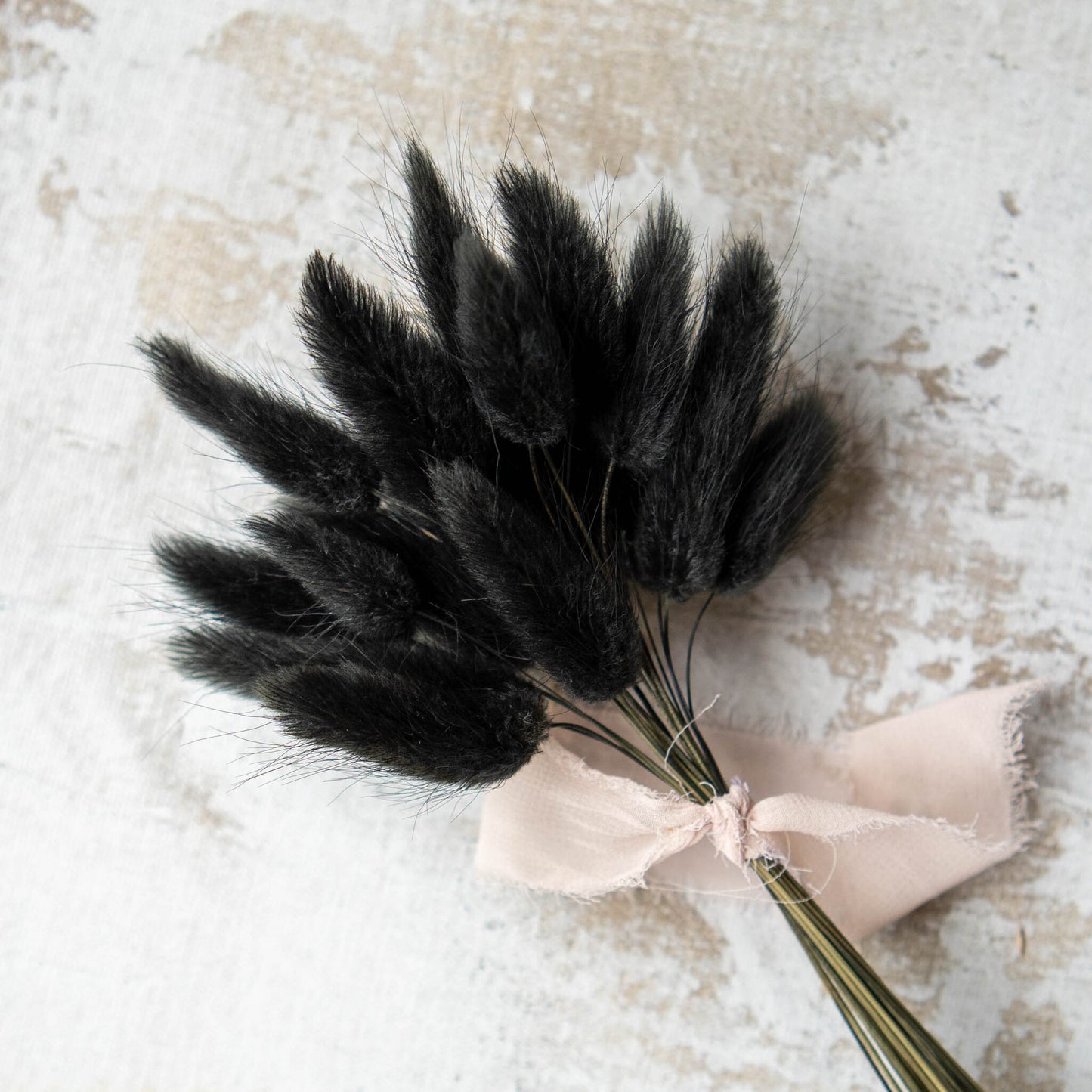 Black Bunny Tail | Dried Flowers | Lagurus Ovatus Bunches | 20 stems, 30 cm