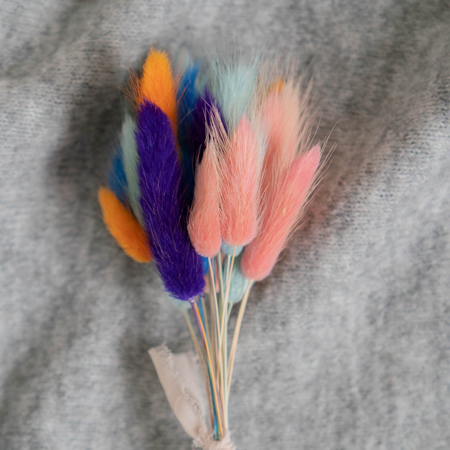 Bunny Tail MIX | Dried Flowers | Lagurus Ovatus Bunches | 20 stems, 30 cm