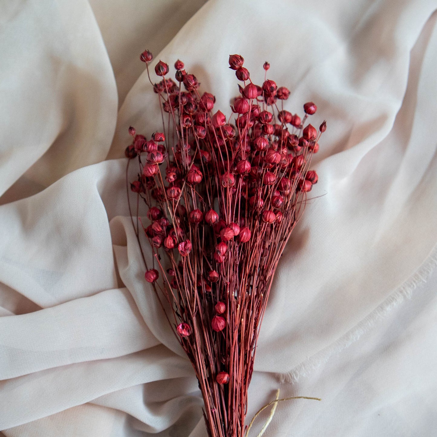 Burgundy Red Dried Linum (Flax) | Dried Flowers | Bunch of Flowers | 30 cm