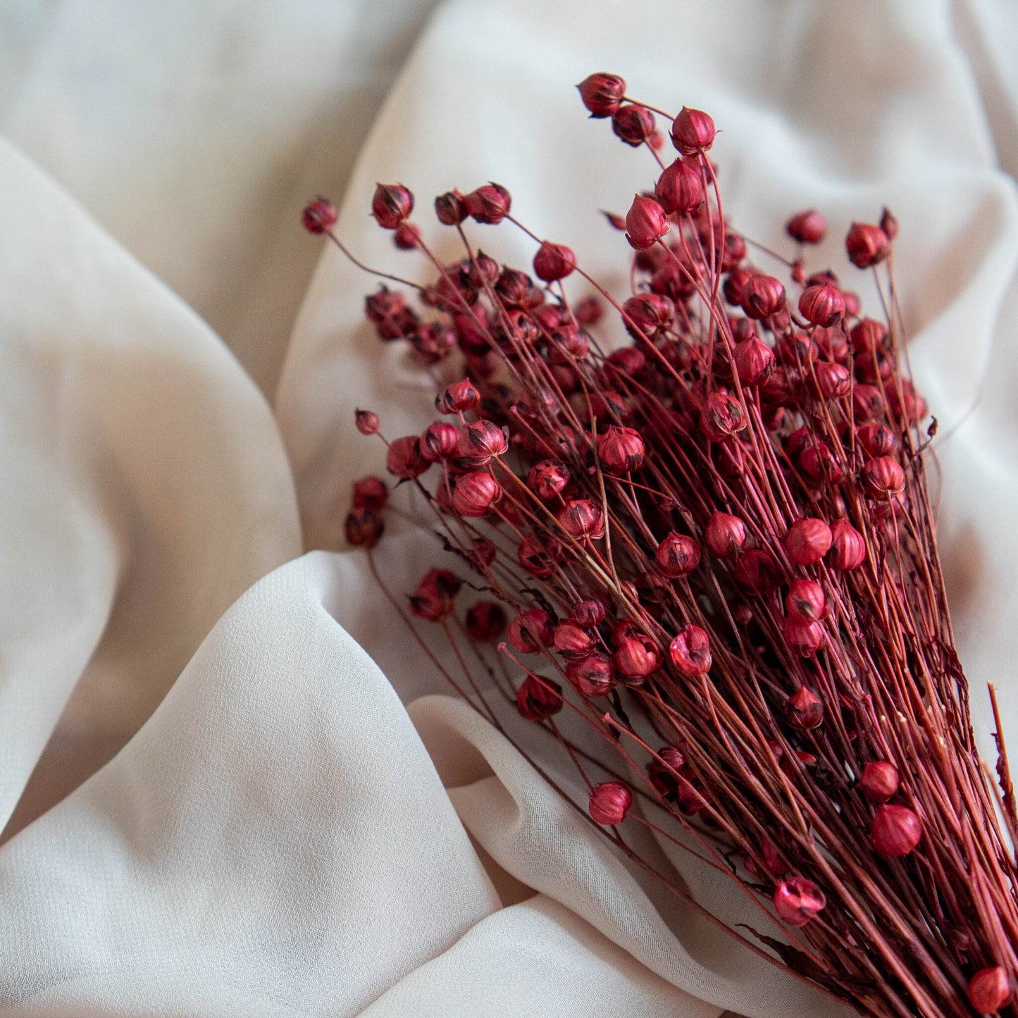 Burgundy Red Dried Linum (Flax) | Dried Flowers | Bunch of Flowers | 30 cm