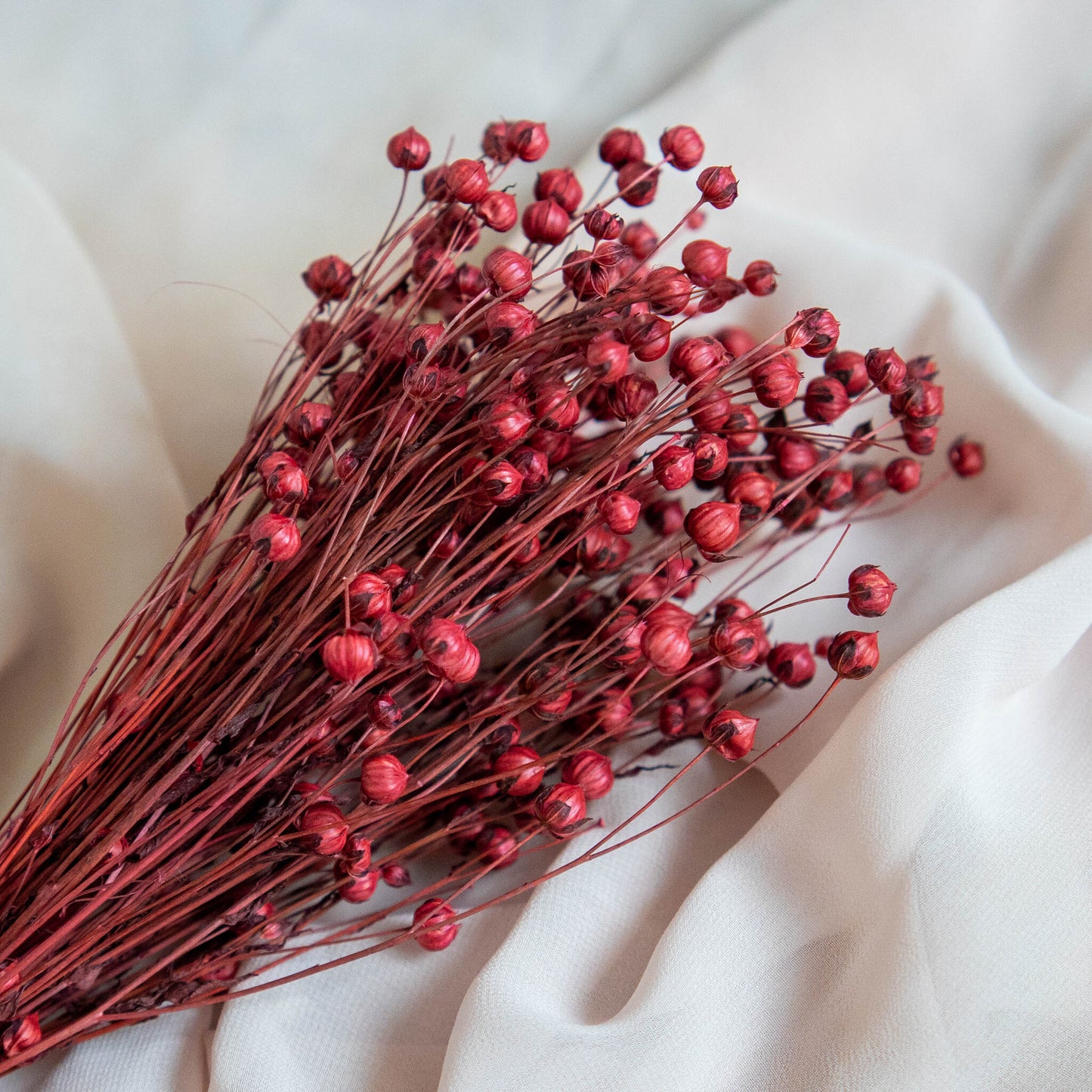 Burgundy Red Dried Linum (Flax) | Dried Flowers | Bunch of Flowers | 30 cm