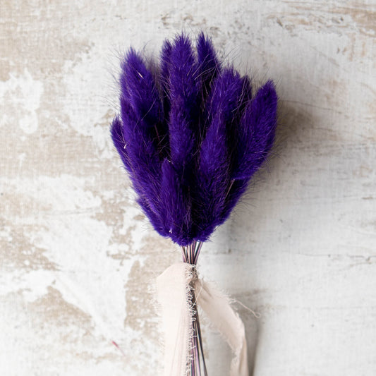 Dark Purple Bunny Tail | Dried Flowers | Lagurus Ovatus Bunches | 20 stems, 30 cm