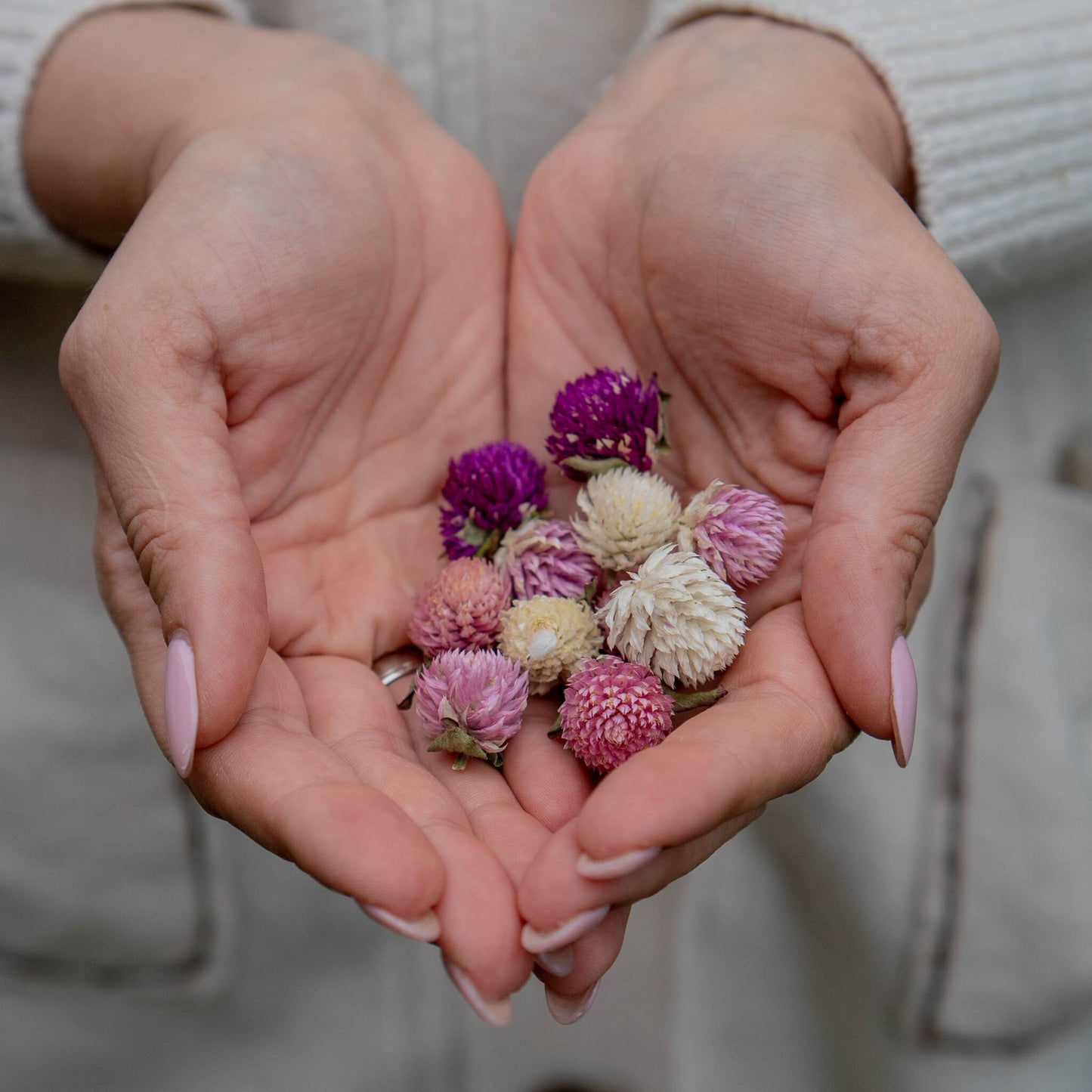 Dried Flowers Crafts Box , Flower Heads, Zero Waste, Mixed Dried Flowers