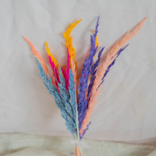 Dried Grass | Dried Flowers | 18 stems | 6 Colours