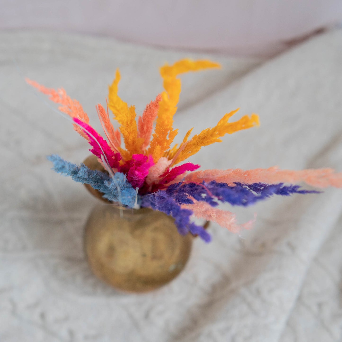 Dried Grass | Dried Flowers | 18 stems | 6 Colours