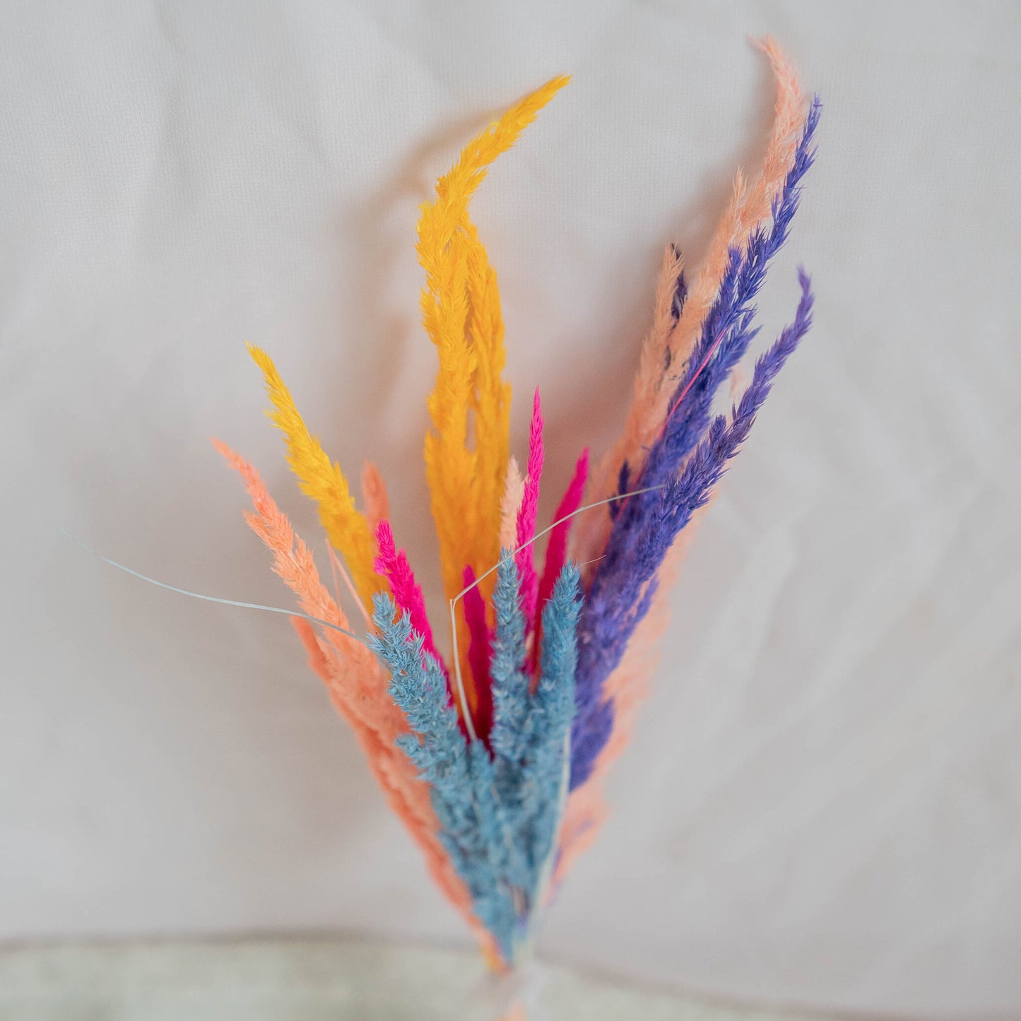 Dried Grass | Dried Flowers | 18 stems | 6 Colours