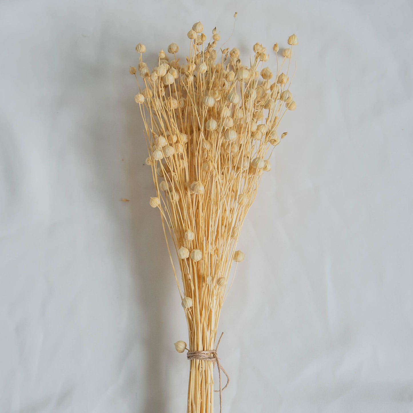 Dried Linum (Flax) | Dried Flowers | Bunch of Flowers | 30 cm