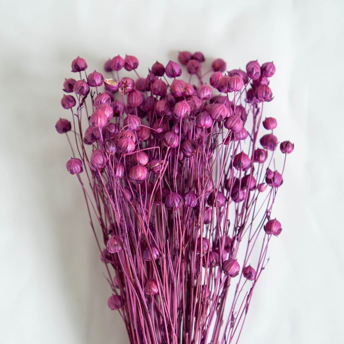 Dried Violet Linum (Flax) | Dried Flowers | Bunch of Flowers | 30 cm