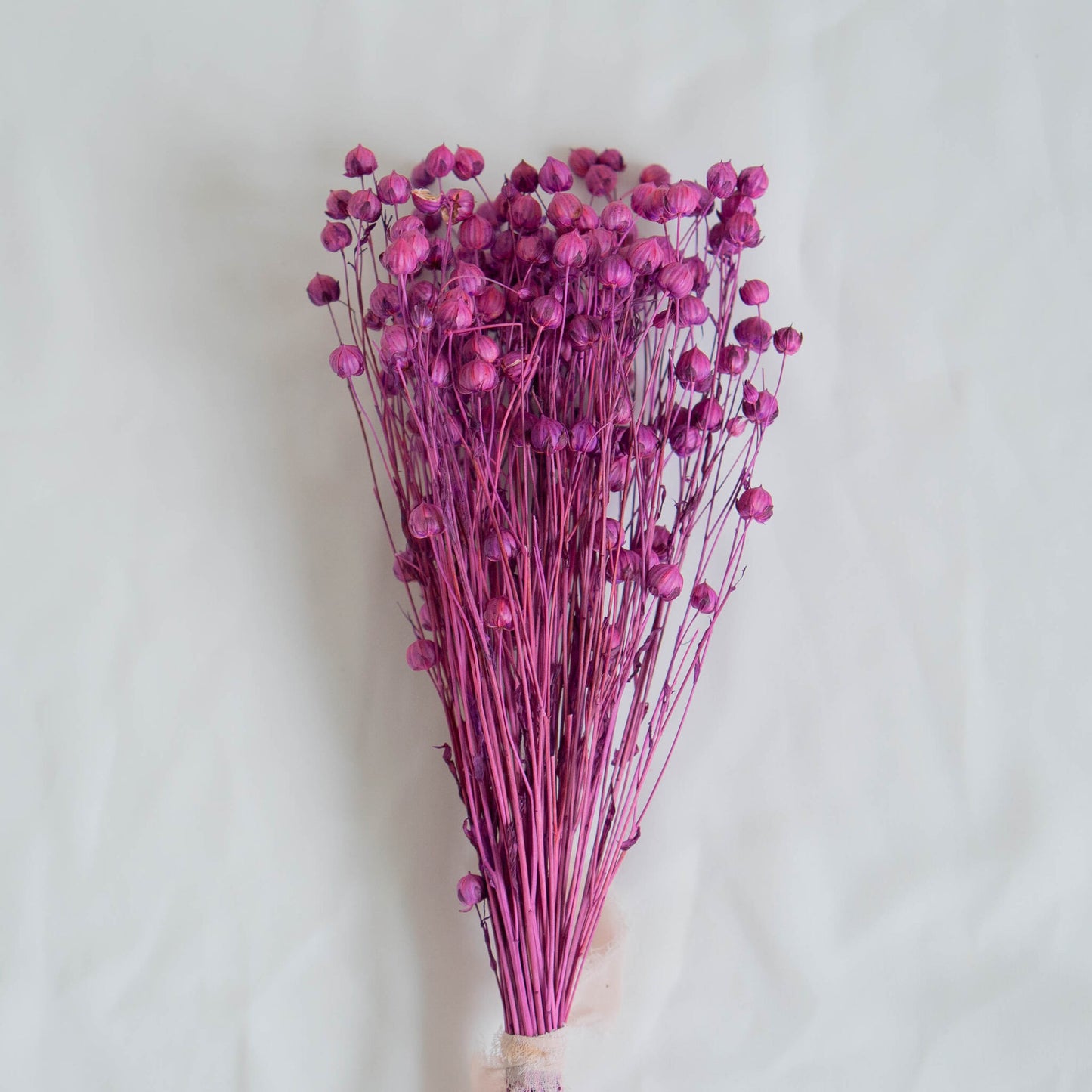 Dried Violet Linum (Flax) | Dried Flowers | Bunch of Flowers | 30 cm