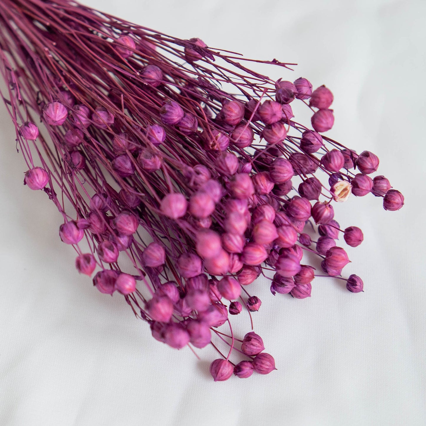 Dried Violet Linum (Flax) | Dried Flowers | Bunch of Flowers | 30 cm