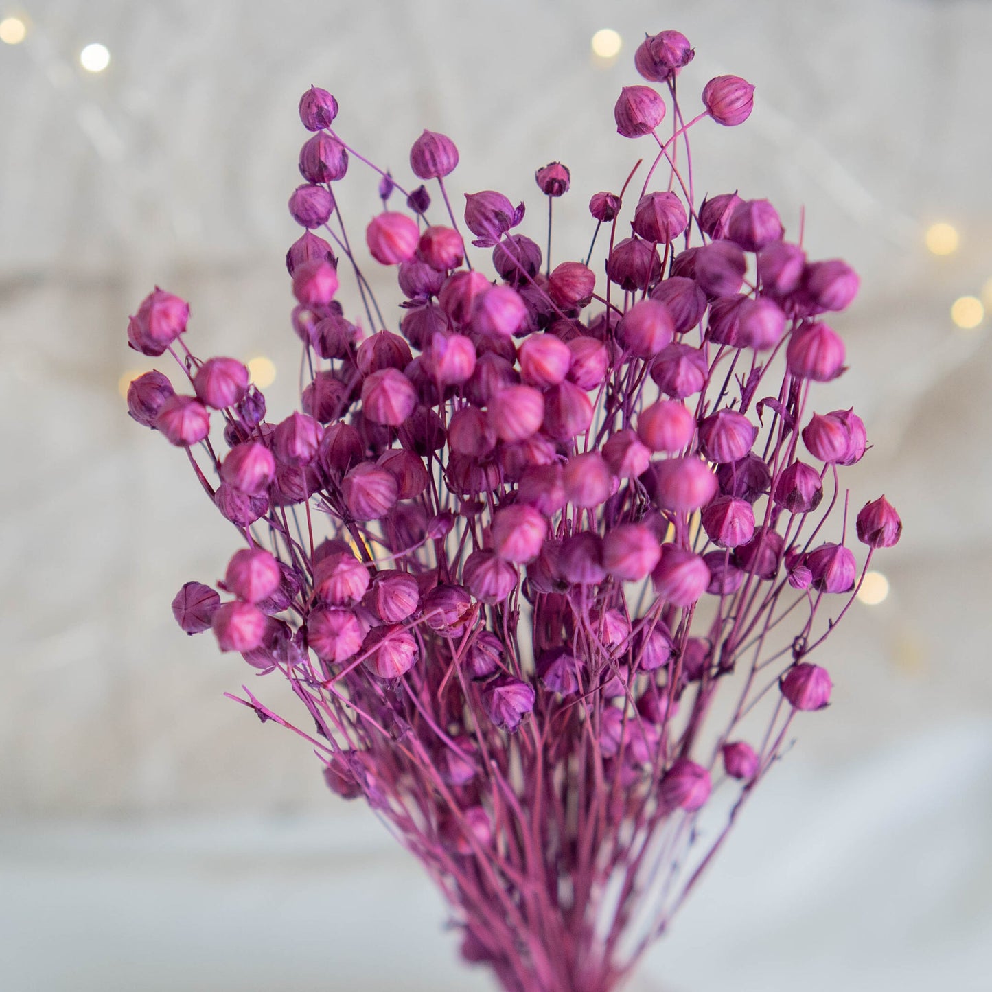 Dried Violet Linum (Flax) | Dried Flowers | Bunch of Flowers | 30 cm