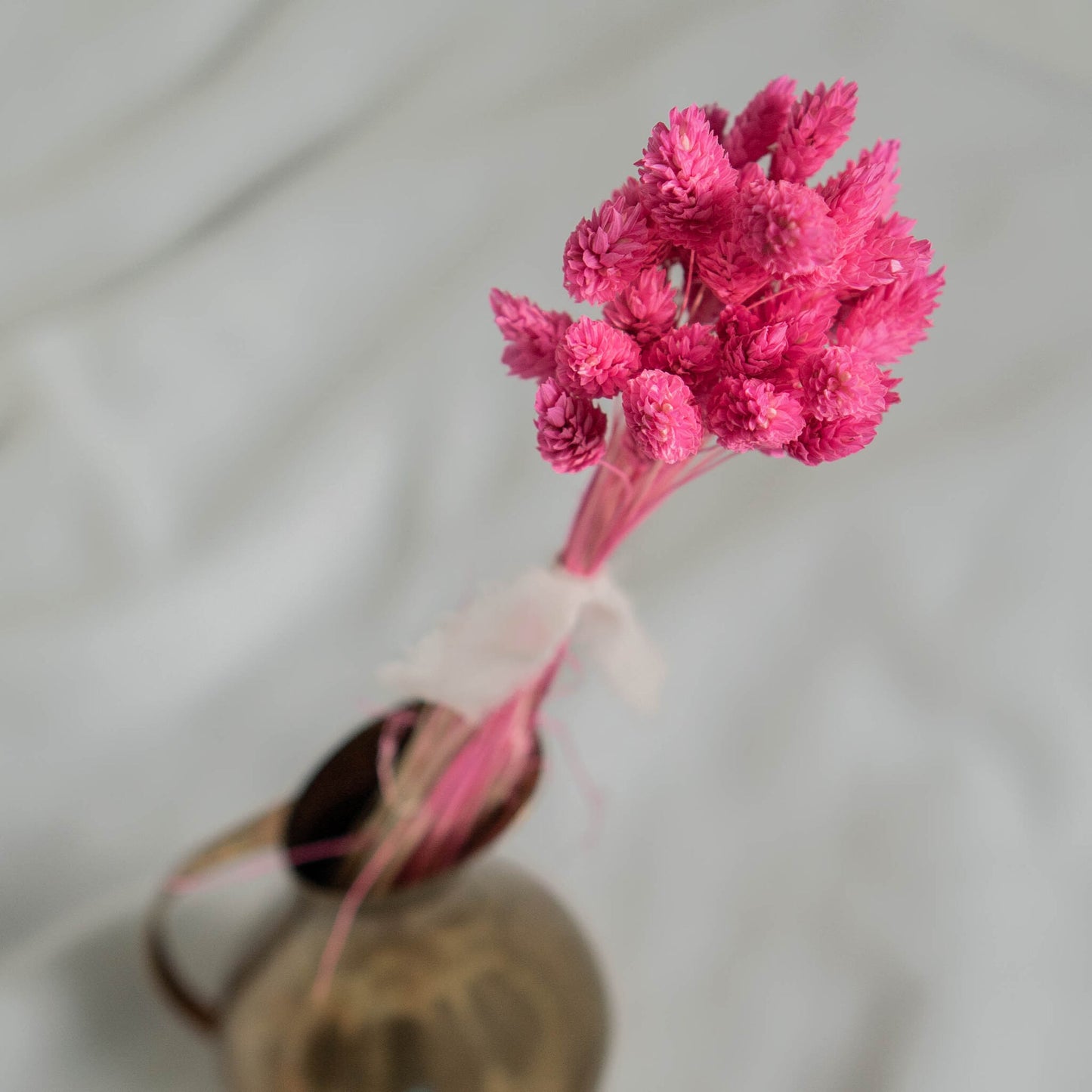 Fuchsia Phalaris | Dried Flowers | Bunch of Flowers | 40 stems, 30 cm