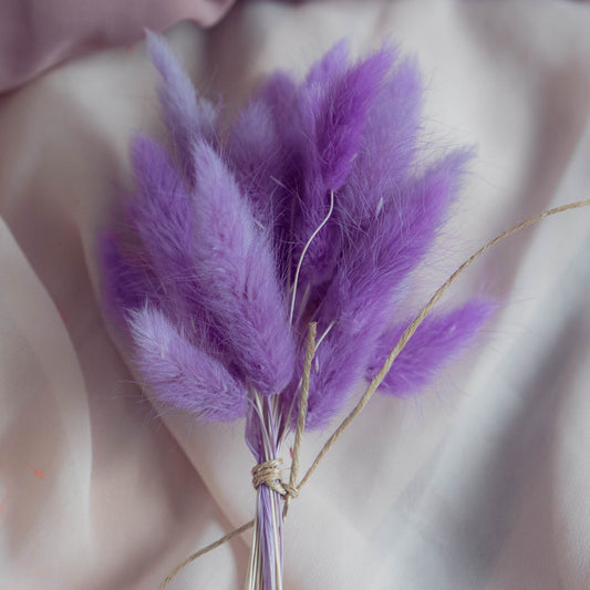 Lavender Purple Bunny Tail | Dried Flowers | Lagurus Ovatus Bunches | 20 stems, 30 cm