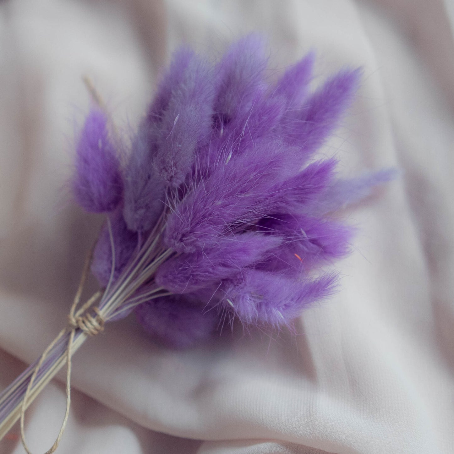 Lavender Purple Bunny Tail | Dried Flowers | Lagurus Ovatus Bunches | 20 stems, 30 cm