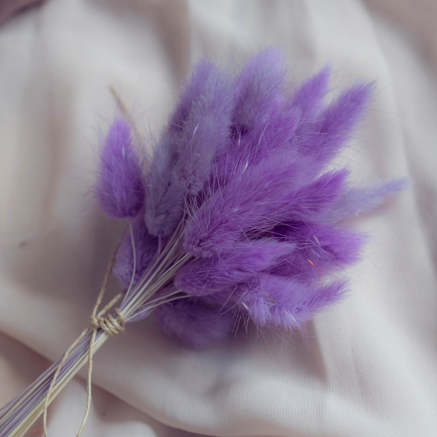 Lavender Purple Bunny Tail | Dried Flowers | Lagurus Ovatus Bunches | 20 stems, 30 cm