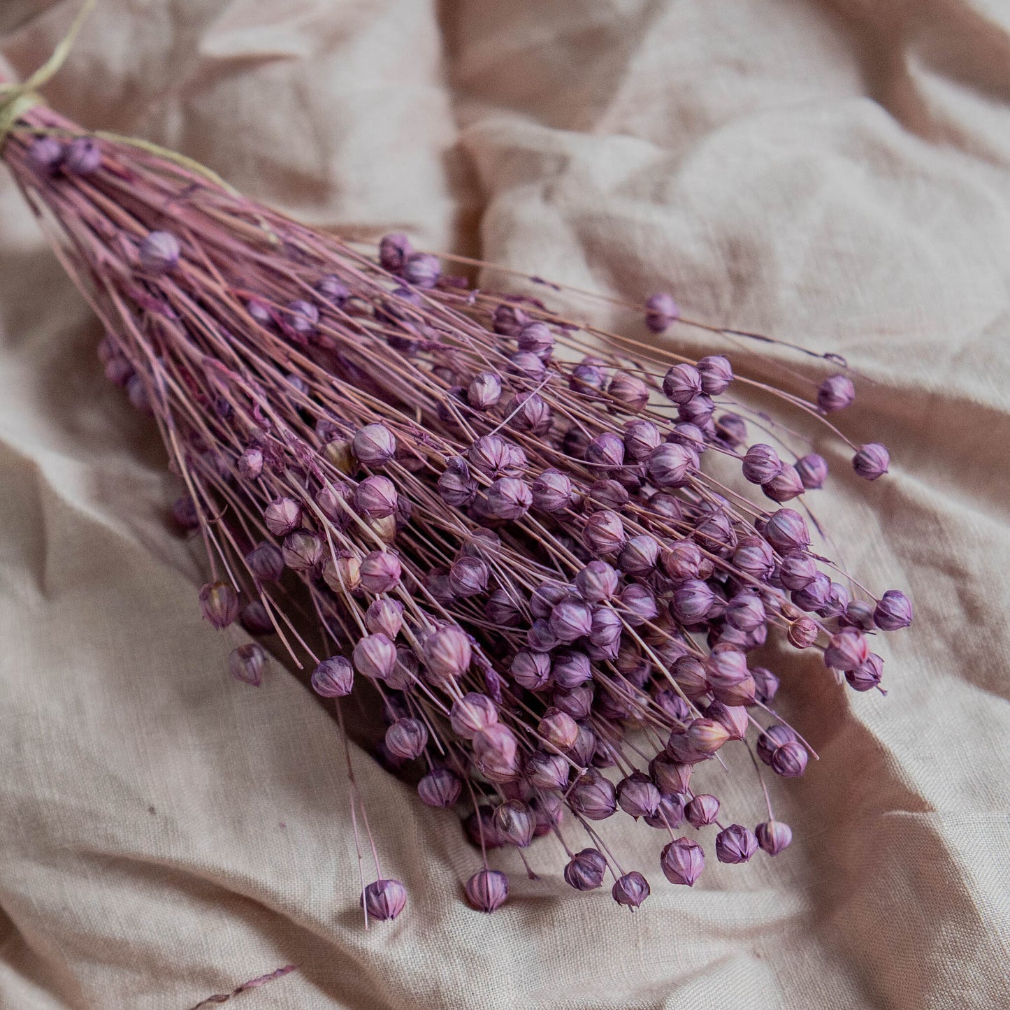 Light Purple Dried Linum (Flax) | Dried Flowers | Bunch of Flowers | 30 cm