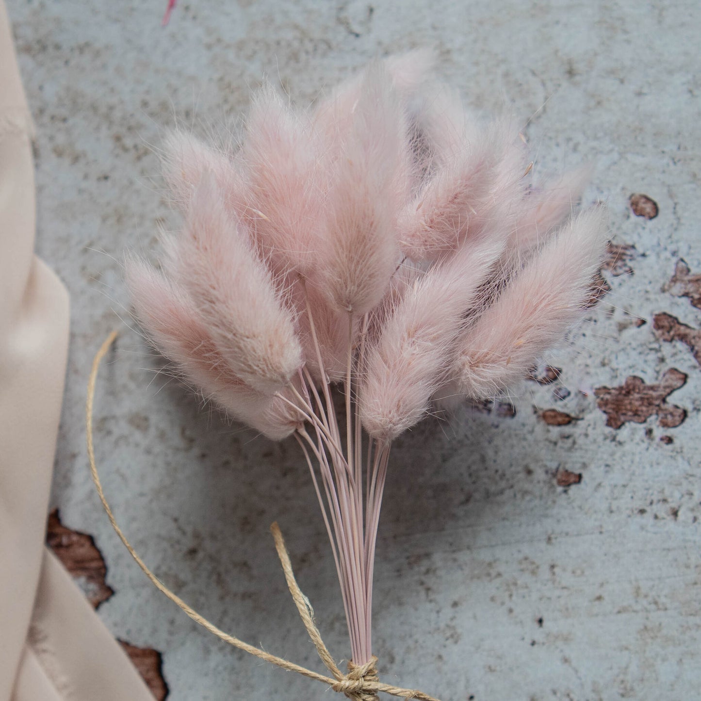 Nude Purple Bunny Tail | Dried Flowers | Lagurus Ovatus Bunches | 20 stems, 30 cm