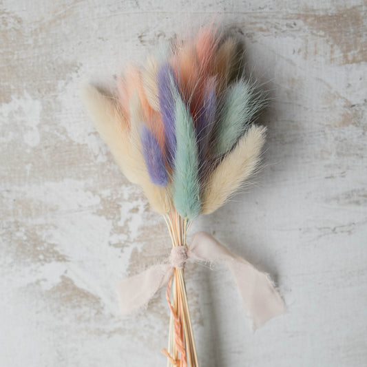 Pastel Mix Bunny Tail | Dried Flowers | Lagurus Ovatus Bunches | 20 stems, 30 cm