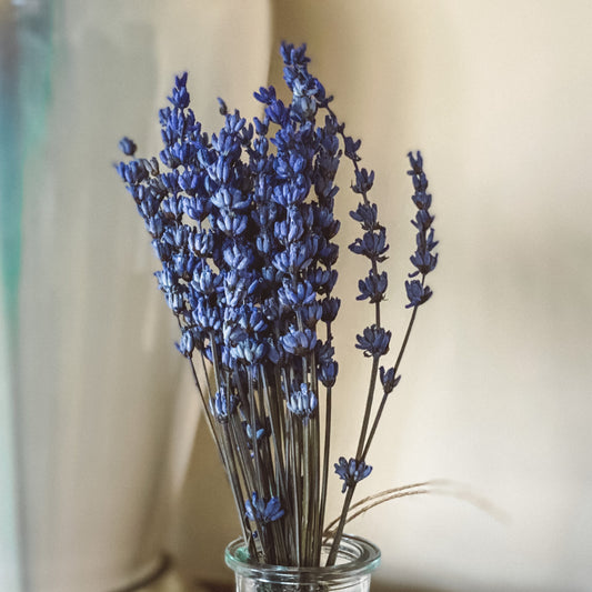 Cobalt Dried Flower Bouquet