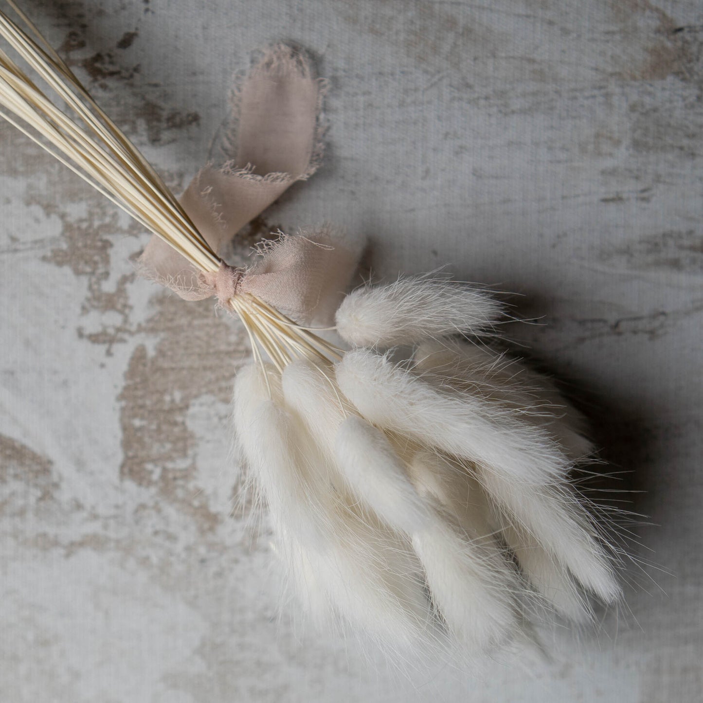 White Bunny Tail | Dried Flowers | Lagurus Ovatus Bunches | 20 stems, 30 cm