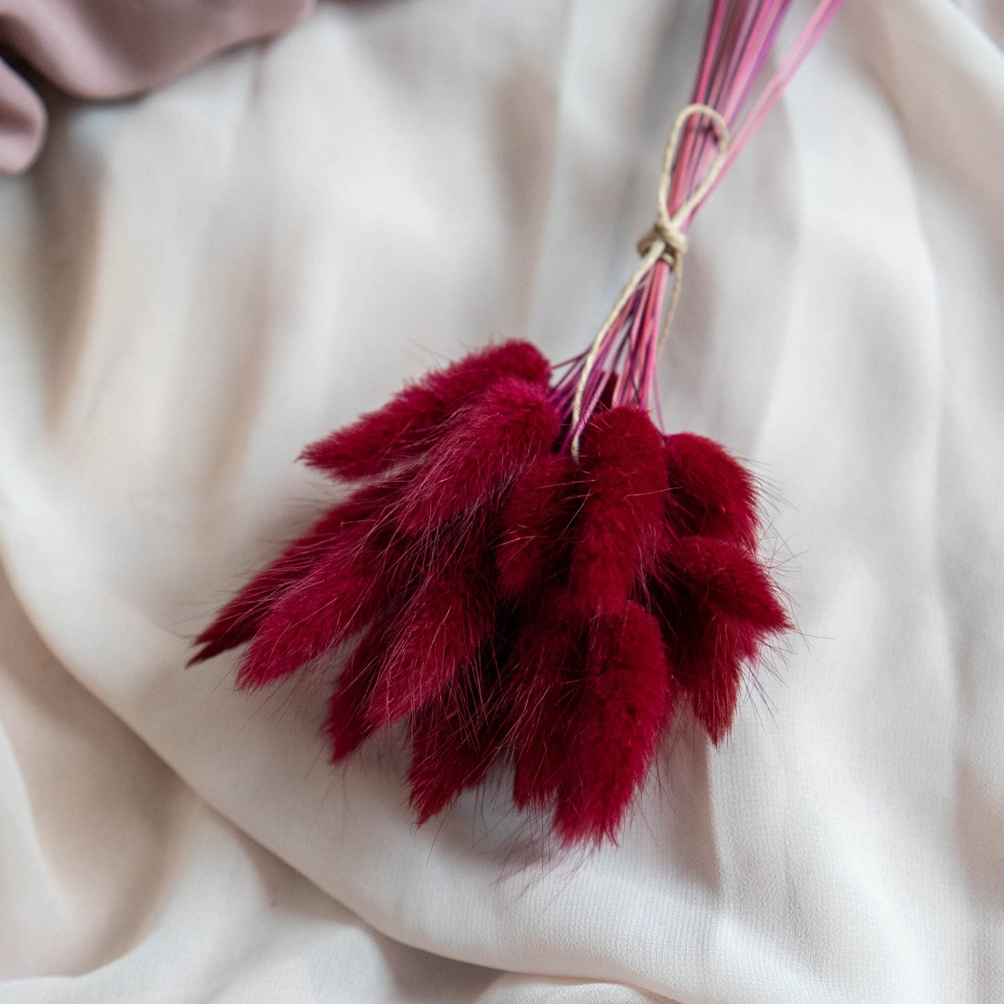 Wine Red Bunny Tail | Dried Flowers | Lagurus Ovatus Bunches | 20 stems, 30 cm