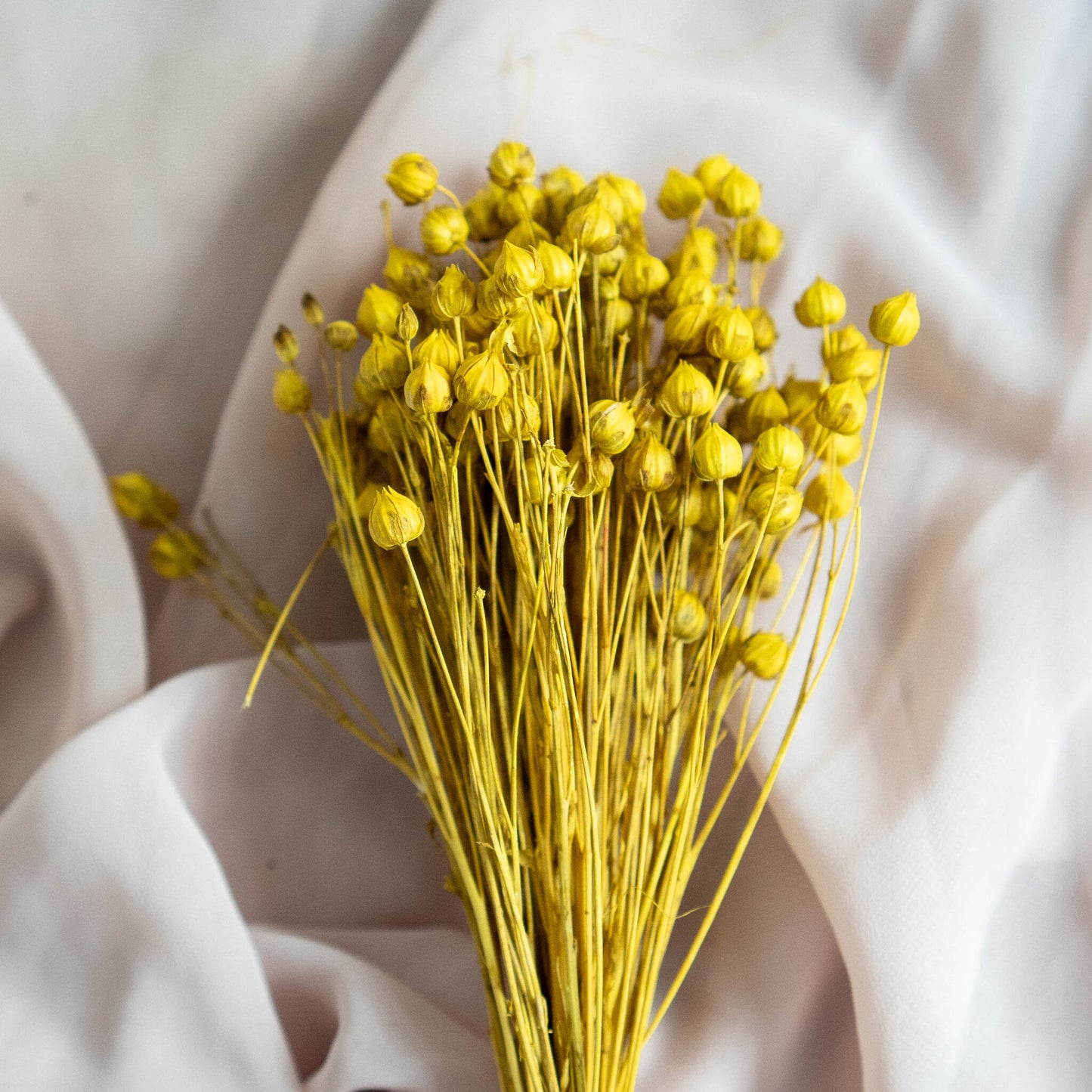 Yellow Dried Linum (Flax) | Dried Flowers | Bunch of Flowers | 30 cm