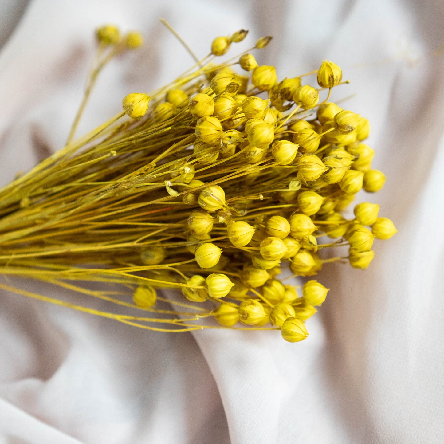 Yellow Dried Linum (Flax) | Dried Flowers | Bunch of Flowers | 30 cm