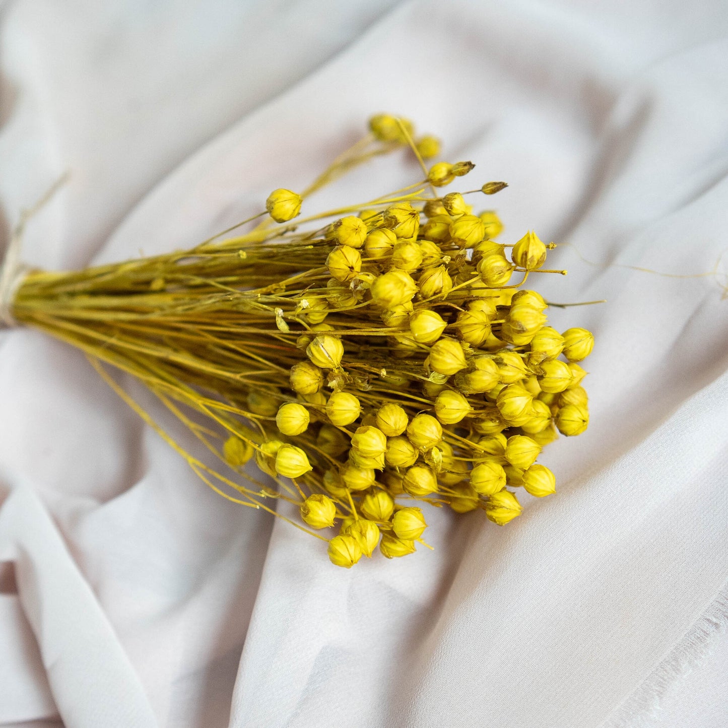 Yellow Dried Linum (Flax) | Dried Flowers | Bunch of Flowers | 30 cm